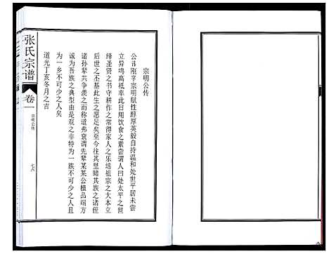 [下载][张氏宗谱_12卷]安徽.张氏家谱_二.pdf