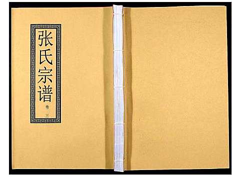 [下载][张氏宗谱_12卷]安徽.张氏家谱_五.pdf