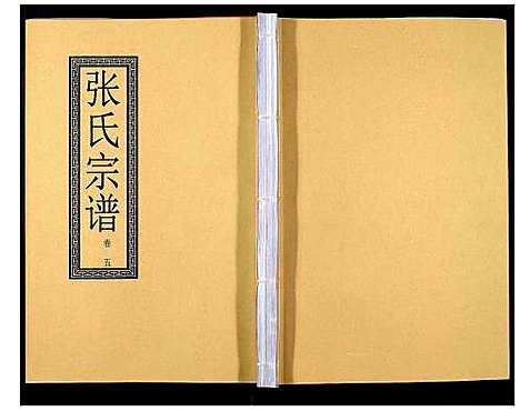 [下载][张氏宗谱_12卷]安徽.张氏家谱_十.pdf