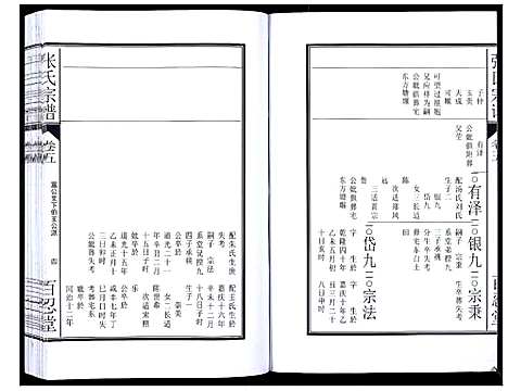 [下载][张氏宗谱_12卷]安徽.张氏家谱_十.pdf