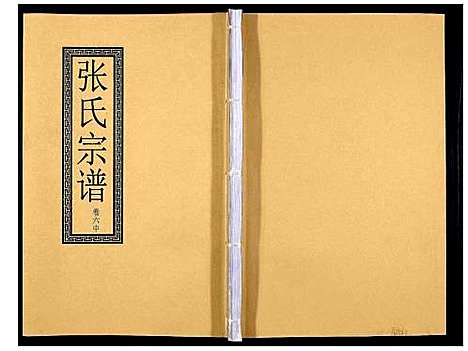 [下载][张氏宗谱_12卷]安徽.张氏家谱_十二.pdf