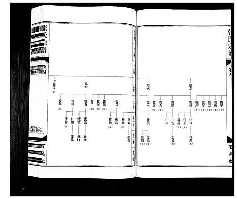 [下载][张氏宗谱_12卷]安徽.张氏家谱_四.pdf