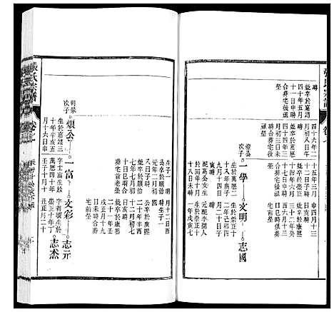 [下载][张氏宗谱_12卷]安徽.张氏家谱_七.pdf