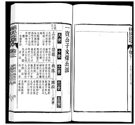 [下载][张氏宗谱_12卷]安徽.张氏家谱_七.pdf