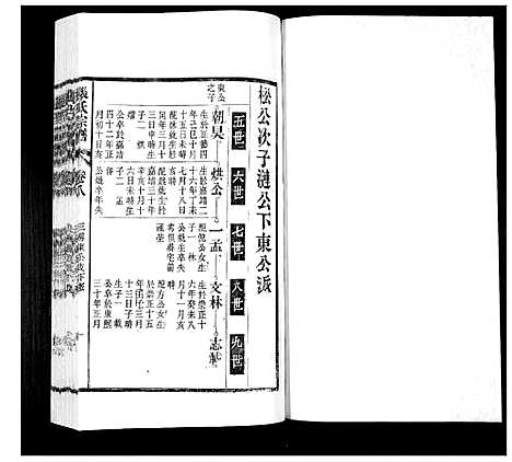 [下载][张氏宗谱_12卷]安徽.张氏家谱_八.pdf