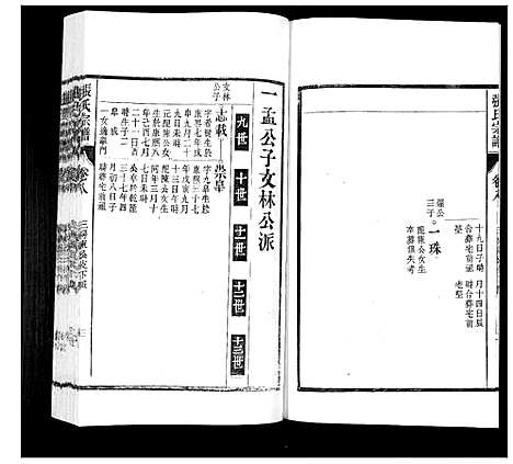 [下载][张氏宗谱_12卷]安徽.张氏家谱_八.pdf