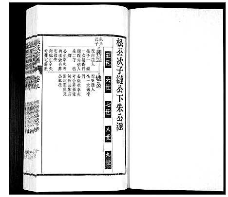 [下载][张氏宗谱_12卷]安徽.张氏家谱_九.pdf