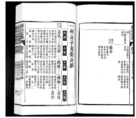 [下载][张氏宗谱_12卷]安徽.张氏家谱_九.pdf