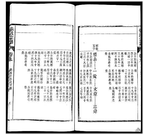 [下载][张氏宗谱_12卷]安徽.张氏家谱_十.pdf