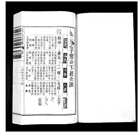 [下载][张氏宗谱_12卷]安徽.张氏家谱_十一.pdf