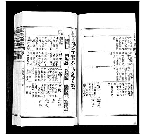 [下载][张氏宗谱_12卷]安徽.张氏家谱_十一.pdf