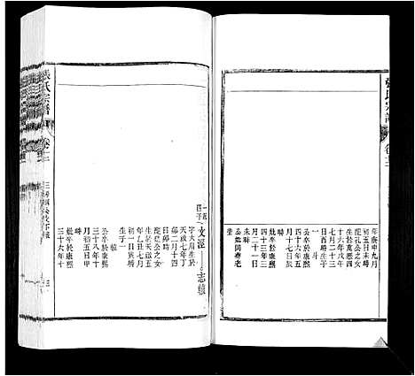 [下载][张氏宗谱_12卷]安徽.张氏家谱_十二.pdf