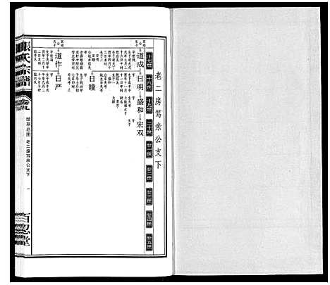 [下载][张氏宗谱_14卷]安徽.张氏家谱_九.pdf