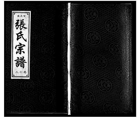 [下载][张氏宗谱_14卷]安徽.张氏家谱_十三.pdf