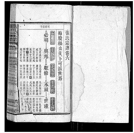 [下载][张氏宗谱_25卷首1卷]安徽.张氏家谱_五.pdf