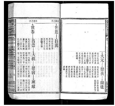 [下载][张氏宗谱_25卷首1卷]安徽.张氏家谱_十三.pdf