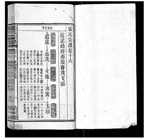 [下载][张氏宗谱_25卷首1卷]安徽.张氏家谱_十五.pdf