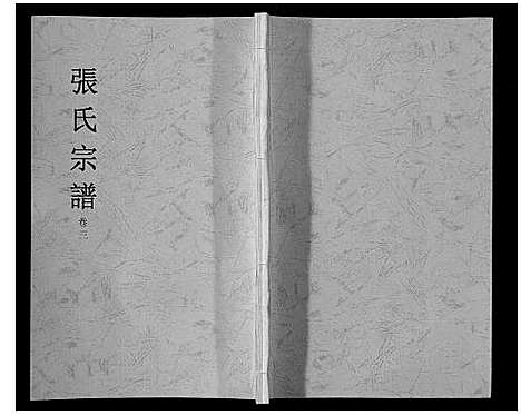 [下载][张氏宗谱_6卷]安徽.张氏家谱_三.pdf