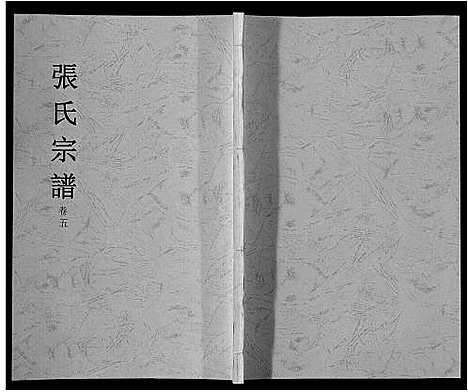 [下载][张氏宗谱_6卷]安徽.张氏家谱_五.pdf