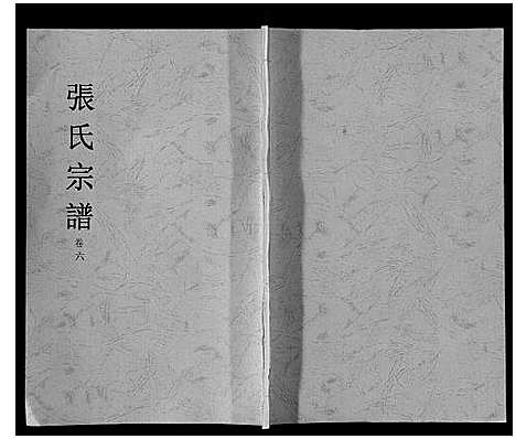 [下载][张氏宗谱_6卷]安徽.张氏家谱_六.pdf