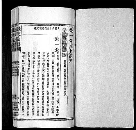 [下载][张氏宗谱_8卷首末各1卷]安徽.张氏家谱_二.pdf