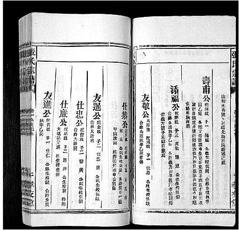 [下载][张氏宗谱_8卷首末各1卷]安徽.张氏家谱_二.pdf