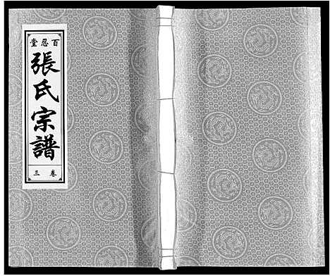 [下载][张氏宗谱_9卷]安徽.张氏家谱_三.pdf