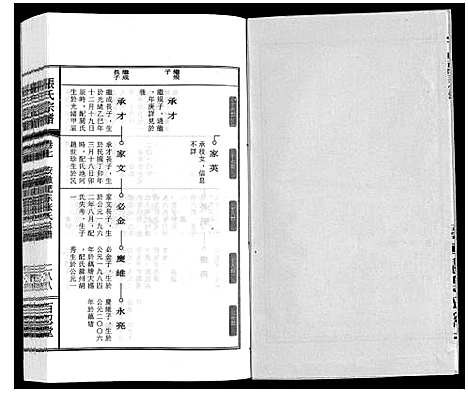 [下载][张氏宗谱_9卷]安徽.张氏家谱_八.pdf