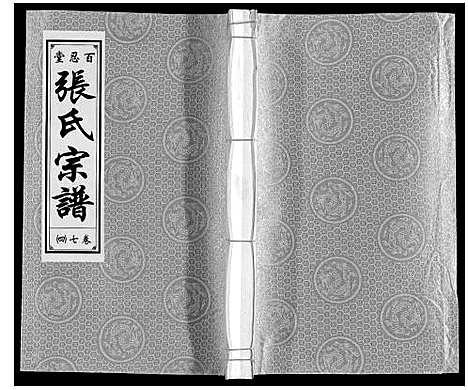 [下载][张氏宗谱_9卷]安徽.张氏家谱_九.pdf