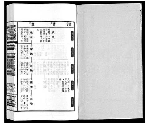 [下载][张氏宗谱_9卷]安徽.张氏家谱_九.pdf