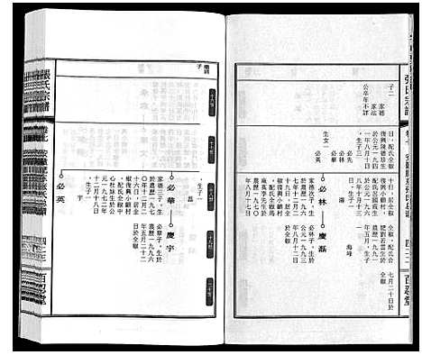 [下载][张氏宗谱_9卷]安徽.张氏家谱_九.pdf