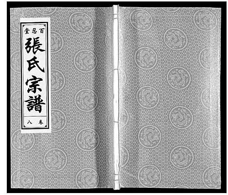 [下载][张氏宗谱_9卷]安徽.张氏家谱_十.pdf