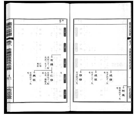 [下载][张氏宗谱_9卷]安徽.张氏家谱_十.pdf