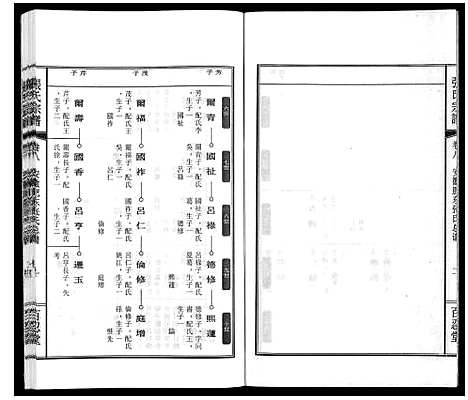 [下载][张氏宗谱_9卷]安徽.张氏家谱_十.pdf