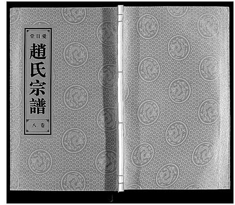 [下载][赵氏宗谱]安徽.赵氏家谱_九.pdf