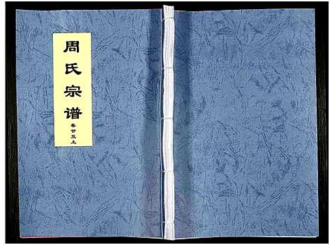 [下载][周氏宗谱_27卷]安徽.周氏家谱_四十.pdf