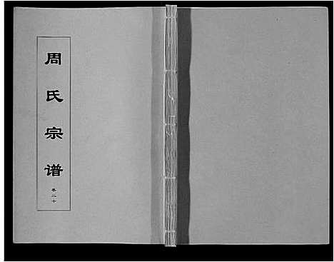 [下载][周氏宗谱_33卷首11卷]安徽.周氏家谱_四十九.pdf