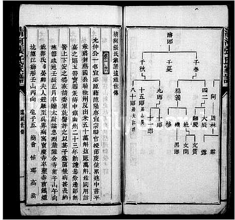 [下载][清河张氏家谱]中国.清河张氏家谱.pdf