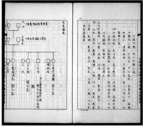 [下载][王氏_家谱_母系]中国.王氏家谱.pdf