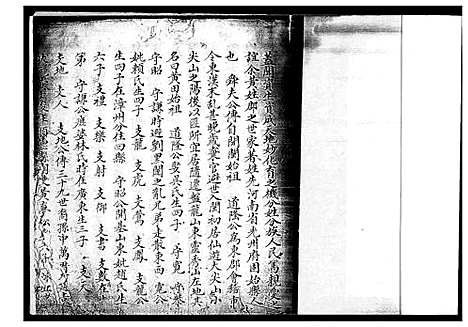 [下载][紫云金柄]福建.紫云金柄.pdf