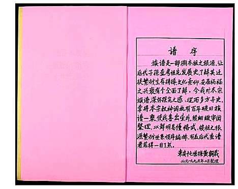 [下载][南安石井东安下黄氏族谱]福建.南安石井东安下黄氏家谱.pdf