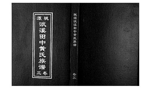 [下载][桃园洑西田中黄氏族谱]福建.桃园洑西田中黄氏家谱_二.pdf