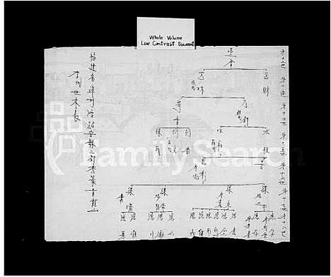 [下载][李世世系表]福建.李世世系表.pdf