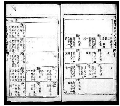 [下载][莆田前埭林氏族谱_莆田前棣林氏九牧大宗族谱]福建.莆田前埭林氏家谱_二.pdf