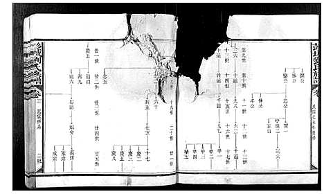 [下载][彭城刘氏族谱_4卷首1卷]福建.彭城刘氏家谱_二.pdf