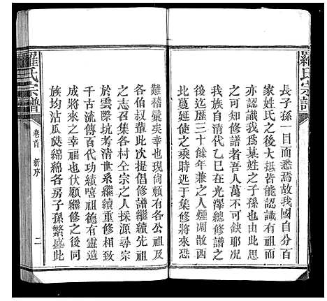 [下载][罗氏宗谱_9卷首1卷]福建.罗氏家谱_一.pdf