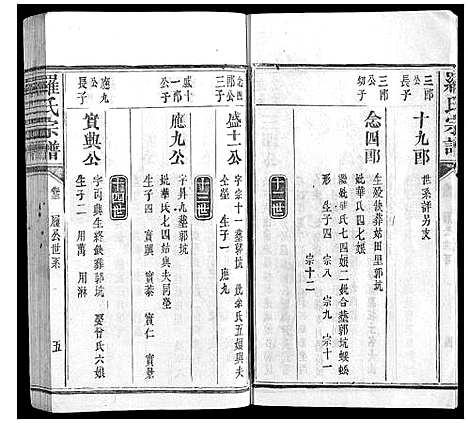 [下载][罗氏宗谱_9卷首1卷]福建.罗氏家谱_七.pdf