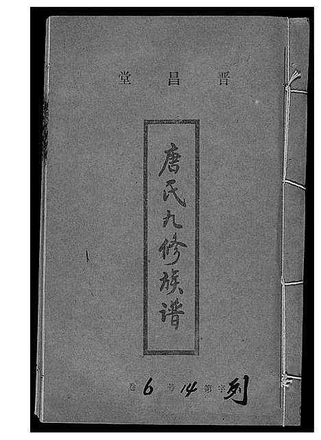 [下载][唐氏九修族谱]福建.唐氏九修家谱_十五.pdf