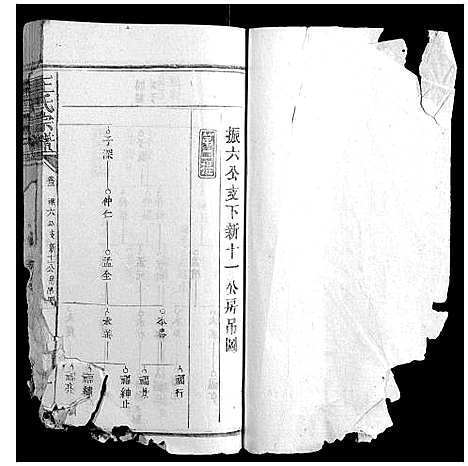 [下载][王氏宗谱_23卷首1卷]福建.王氏家谱_二.pdf