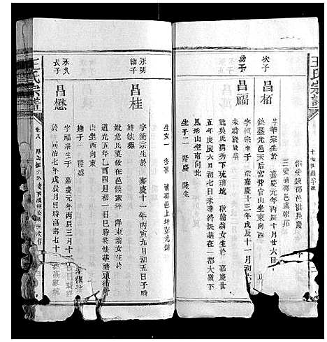 [下载][王氏宗谱_23卷首1卷]福建.王氏家谱_八.pdf